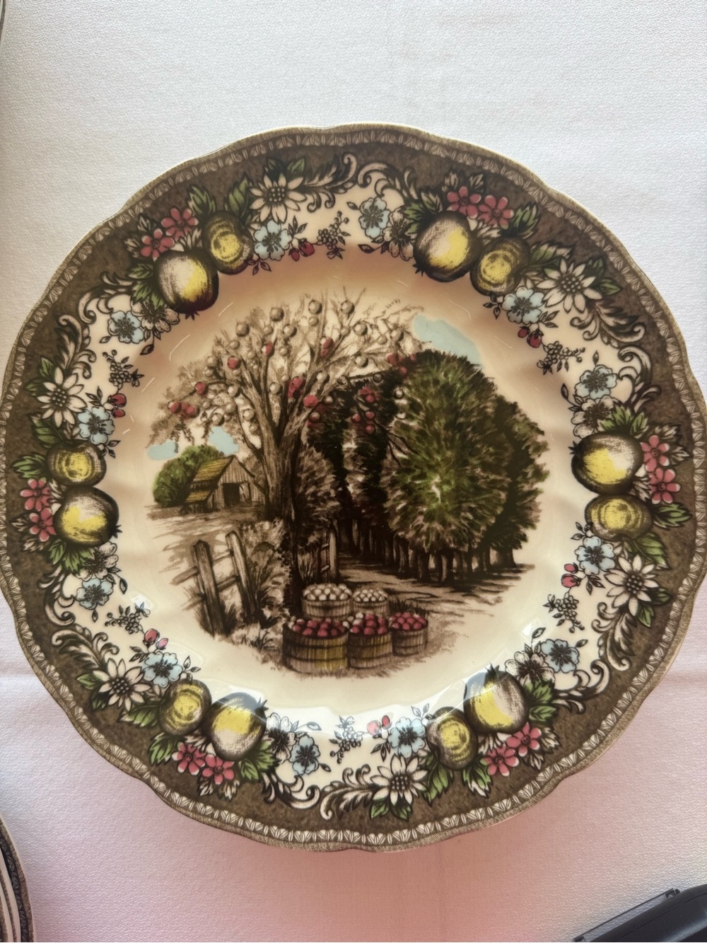 Johnson Bros The Friendly Village Dinner Plate - Cream, Brown, Green 6 plates